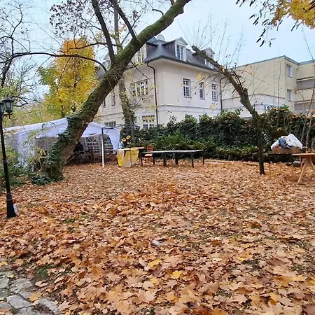 King David Garden 3*