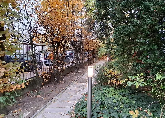 King David Garden برلين