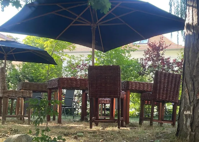 فندق مبيت وإفطار King David Garden 3*