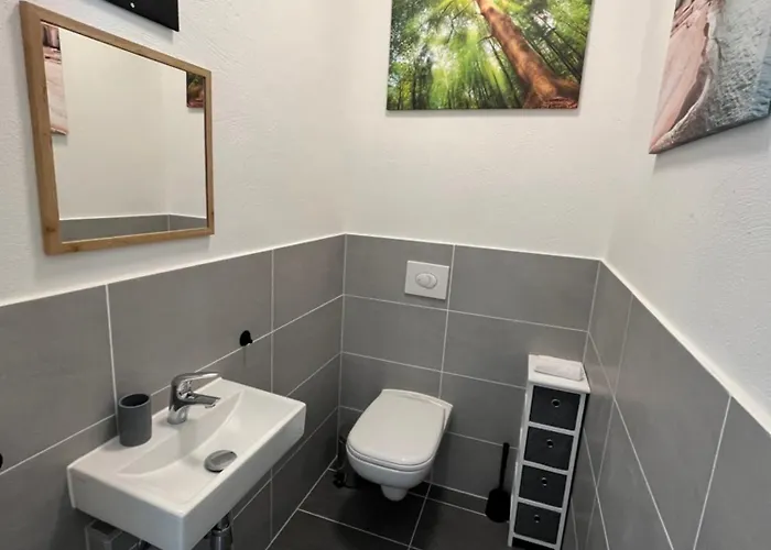 Bed & Breakfast King David Garden