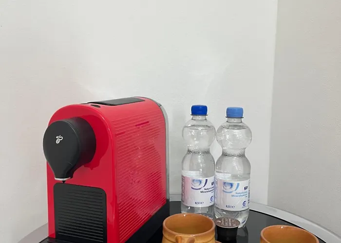 King David Garden 3*