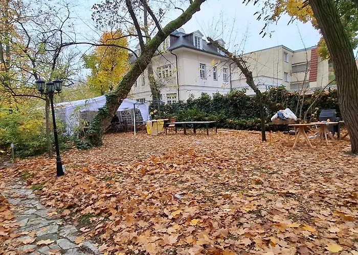 King David Garden 3*